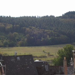 Mosea - Bild 12