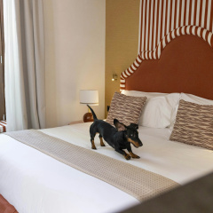 Cavalta Boutique Hotel – Small Luxury Hotel - Bild 5
