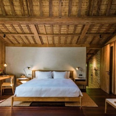 The Asa Maia - Bild 5