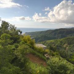 Matthew's Miracle View in Massacre, Dominica from 63$, photos, reviews - zenhotels.com photo 9