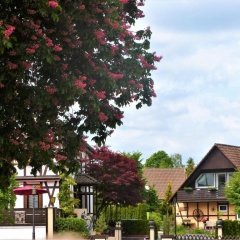 Ferienwohnungen Klosterblick - Bild 16