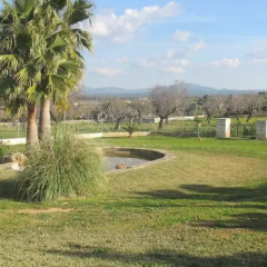 Son Gil - Bild 1