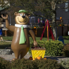 Jellystone Park TM of Western New York thumbnail 4