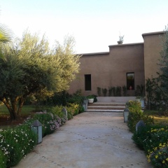 Marrakech African Queen - Bild 1