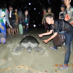 Kampoeng Pakis Inn - Bild 19
