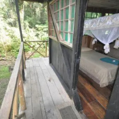 Tapir Lodge thumbnail 6