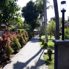 Puri Bali Lovina - Bild 1
