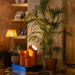 Hôtel La Nouvelle République & Hammam - Bild 11