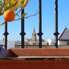 Casa Imperial Hotel - Bild 19