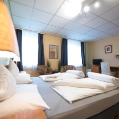 Rheinauer Hof - Das Hotel am Riedweg - Bild 2