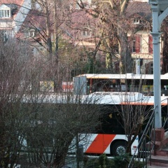Altstadtblick - Bild 5