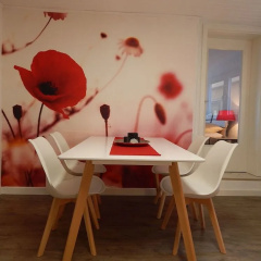Ferienhaus Rheinblick - Bild 3