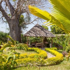 Villa Raymond in Galu Kinondo, Kenya from 250$, photos, reviews - zenhotels.com photo 22