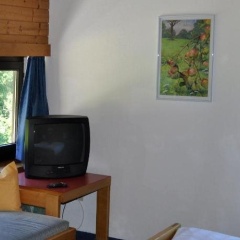Leitgebhof - Bild 6