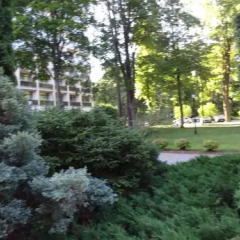 Cottage Sanatorium Belorusija in Jurmala, Latvia from 124$, photos, reviews - zenhotels.com photo 8