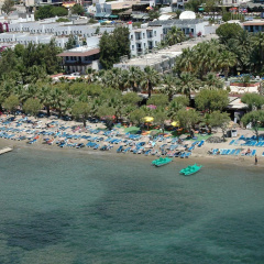 Sami Beach Hotel. - Bild 15