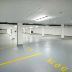 D50 - Bild 14