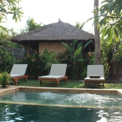 Guava Garden - Bild 12