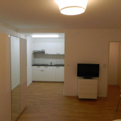 Swiss Star Delsbergerallee - Bild 9