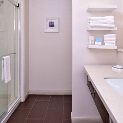 Hampton Inn & Suites Dallas Market Center thumbnail 8