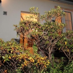 Kunsthaus  Kurgan - Bild 1
