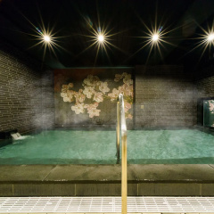 Super Hotel Lohas Ikebukuro-Eki Kitaguchi thumbnail 17