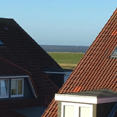 Sonnenlicht - Bild 1