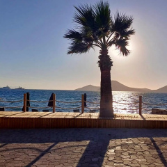 Sezz Hotels Spa Wellness Yalikavak (Adults Only) - Bild 21