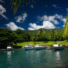 Taveuni Dive Resort thumbnail 17