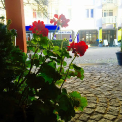 Star Inn Hotel München Nord, by Comfort - Bild 18