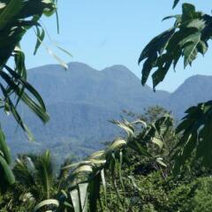 Joy's Apartment in Roseau, Dominica from 71$, photos, reviews - zenhotels.com outdoors