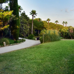 Tenuta Terenzano thumbnail 25