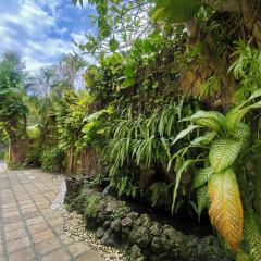 Bali Emerald Villas - Bild 22