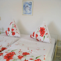 Elevated Apartment in Bad Wildungen With Garden - Bild 5