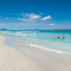Orquidea - Bild 11