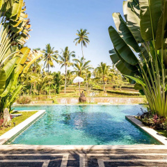 Hati Padi Cottages thumbnail 16