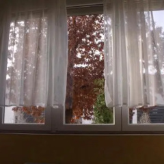 1st Floor Apartman thumbnail 6