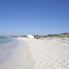 Apartaments Posidonia - Bild 19