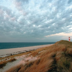Hotel Fährhaus Sylt - Bild 17