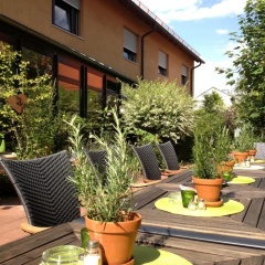 Bio Hotel Bayerischer Wirt - Bild 16