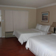 Guest House thumbnail 4