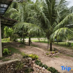 The Secret Garden Homestay Koh yao yai - Bild 2