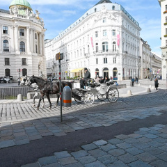 Highlight Apartment Hofburg - Bild 13