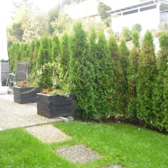 Gästehaus Cramer - Bild 3