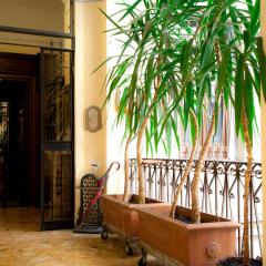 Guesthouse Borromeo Roma - Bild 11