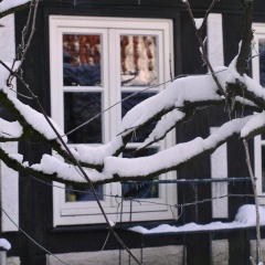 Lieblingsplatz - Bild 2