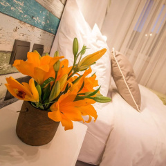 De Rohan B&B thumbnail 5