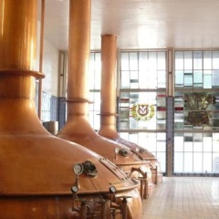 Backpacker Hostel Bremen - Bild 14