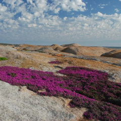 The Oystercatchers Haven at Paternoster thumbnail 7
