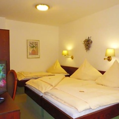 Central - Bild 5